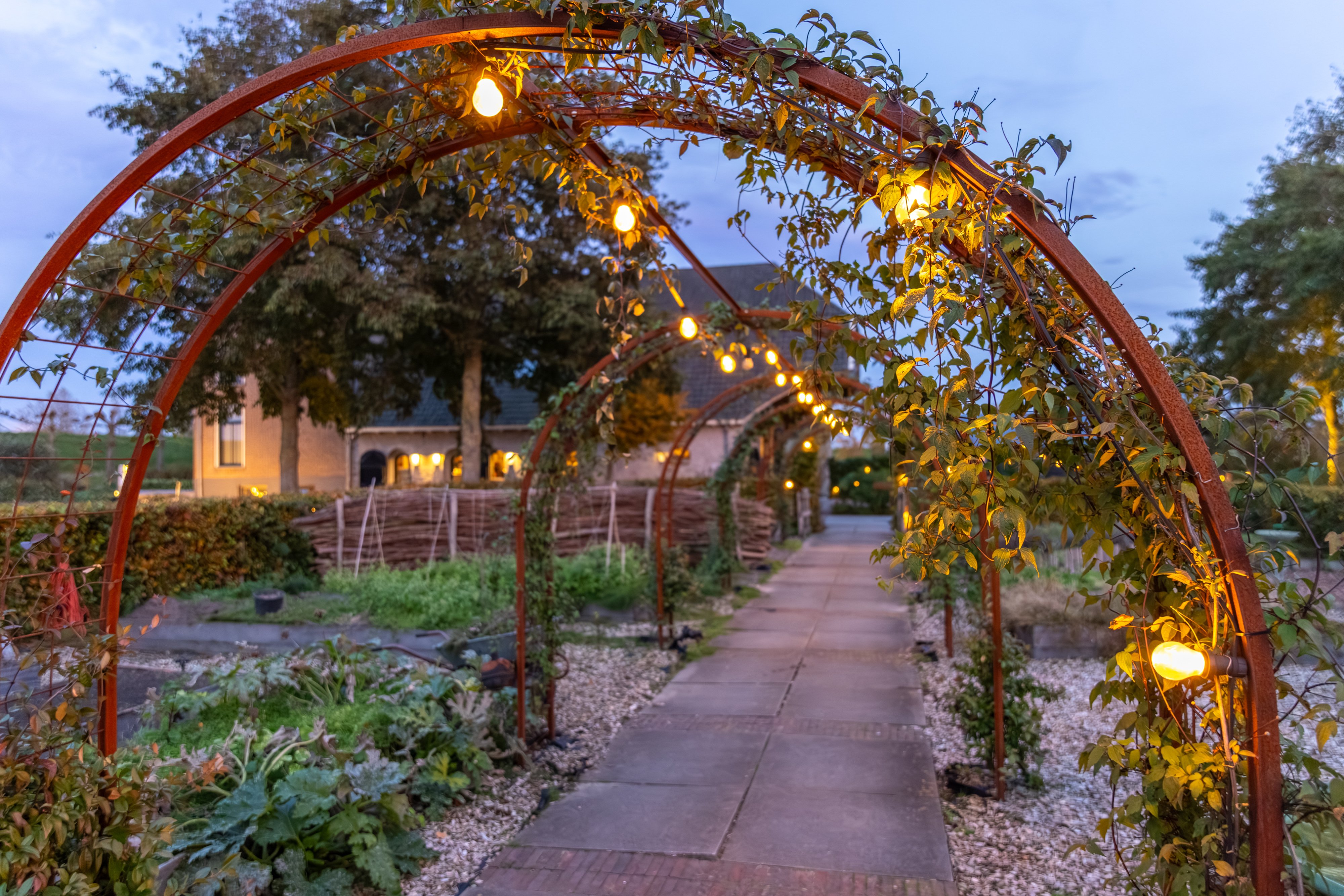 Seijbel Photography-0898